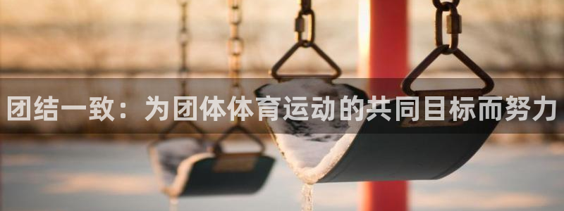 一竞技官网下载平台注册流程图：团结一致：为团体体育运