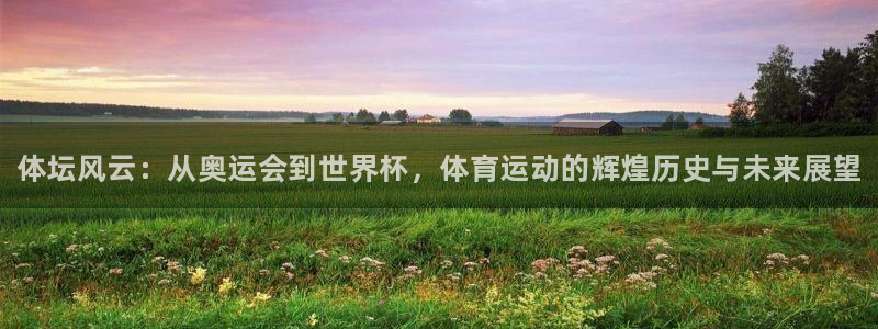 一竞技官网下载招商电话：体坛风云：从奥运会到世界杯，