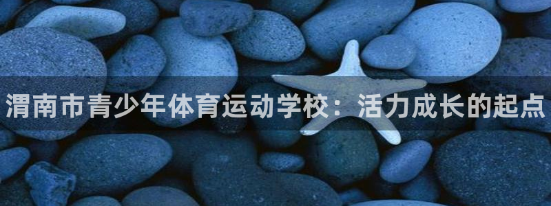 一竞技官网下载招商电话号码是多少：渭南市青少年体育运