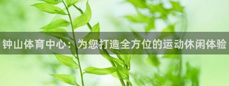 一竞技官方正版app集团官网网址：钟山体育中心：为您
