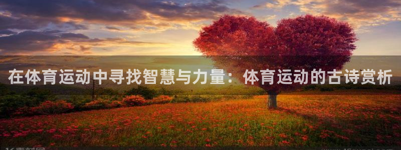 海南一竞技官网下载：在体育运动中寻找智慧与力量：体育
