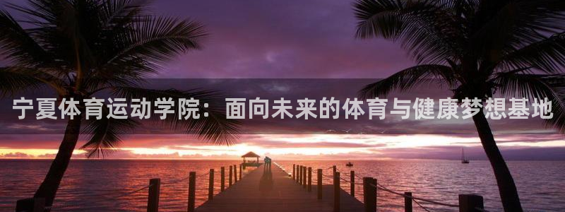 一竞技官网下载：宁夏体育运动学院：面向未来的体育与健
