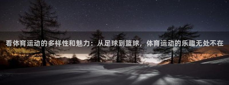 一竞技官网下载是干嘛的公司：看体育运动的多样性和魅力