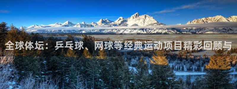 一竞技官网下载平台是正规平台吗：全球体坛：乒乓球、网
