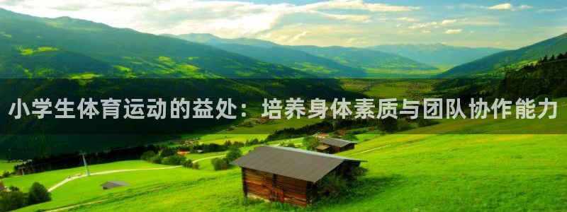 一竞技官方正版app集团简介：小学生体育运动的益处：
