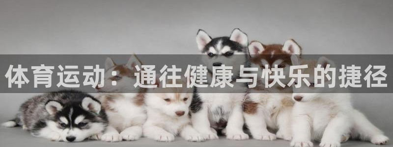 一竞技官网下载平台注册流程视频：体育运动：通往健康与