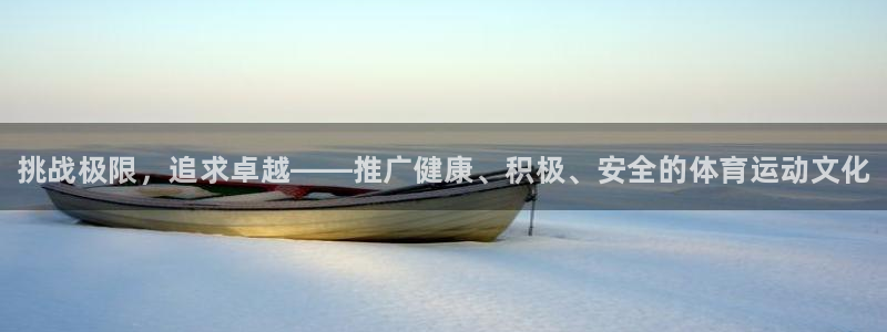 一竞技官方正版app娱乐平台：挑战极限，追求卓越——