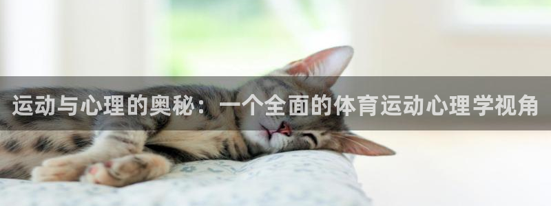 一竞技官方正版app集团：运动与心理的奥秘：一个全面