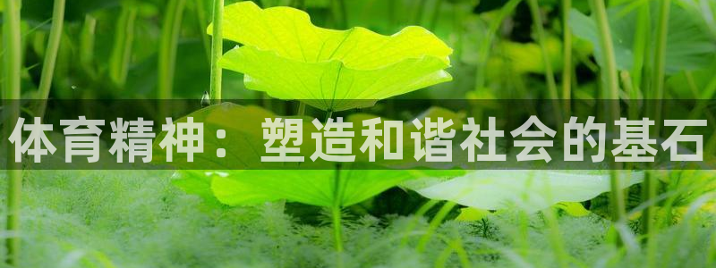 一竞技官方正版app开户