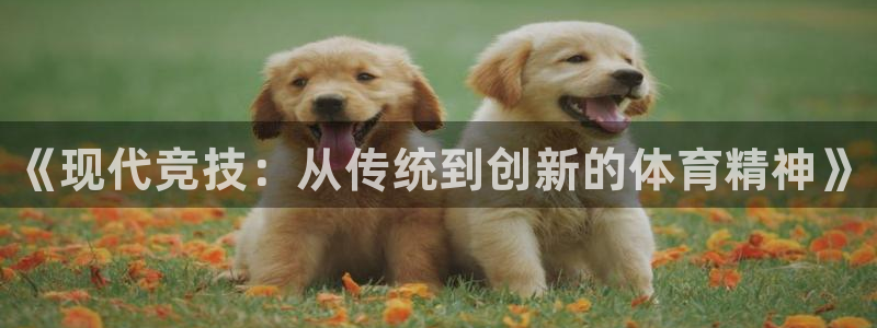 一竞技官网下载平台注册流程图：《现代竞技：从传统到创