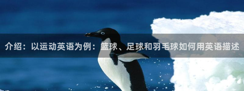 德国一竞技官方正版app集团