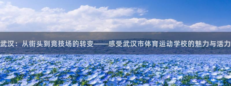 一竞技官方正版app娱乐是那个系列的台子