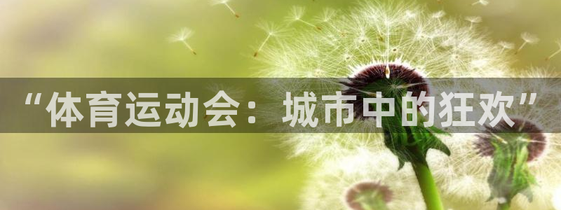 一竞技官网下载平台注册流程图：“体育运动会：城市中的狂欢”
