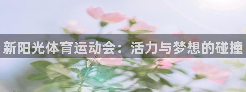 一竞技官网下载娱乐：新阳光体育运动会：活力与梦想的碰撞