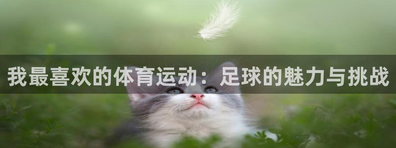 一竞技官网下载平台是正规平台吗知乎：我最喜欢的体育运动：足球