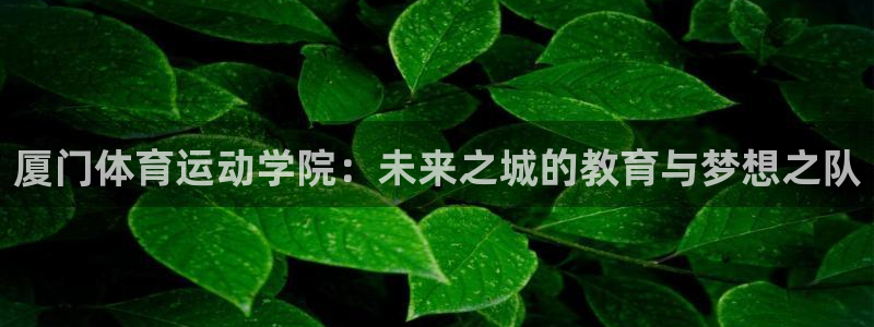一竞技官方正版app集团logo：厦门体育运动学院：未来之城