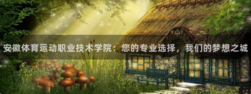一竞技官网下载是干嘛的公司：安徽体育运动职业技术学院：您的专