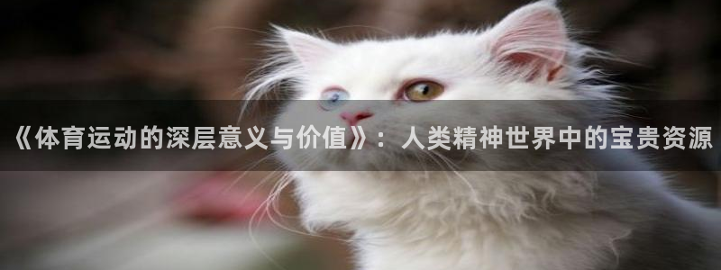 一竞技官网下载招商电话地址查询：《体育运动的深层意义与价值》