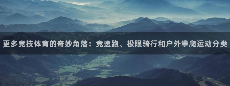 一竞技官方平台体育