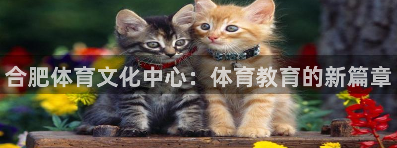 一竞技官方正版app集团官网首页
