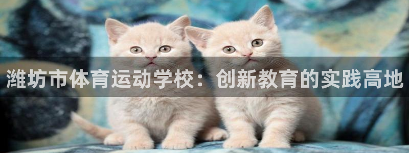 一竞技官网下载平台假的吗是真的吗