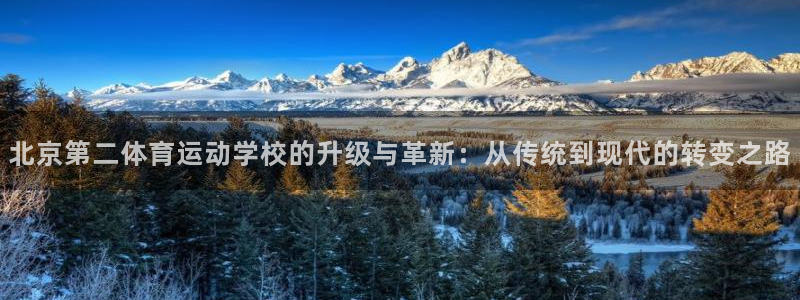 一竞技官网下载招商电话