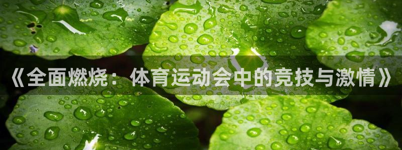 一竞技官网下载招商电话地址是多少：《全面燃烧：体育运动会中的