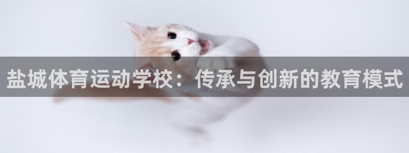 一竞技官网下载招商电话地址