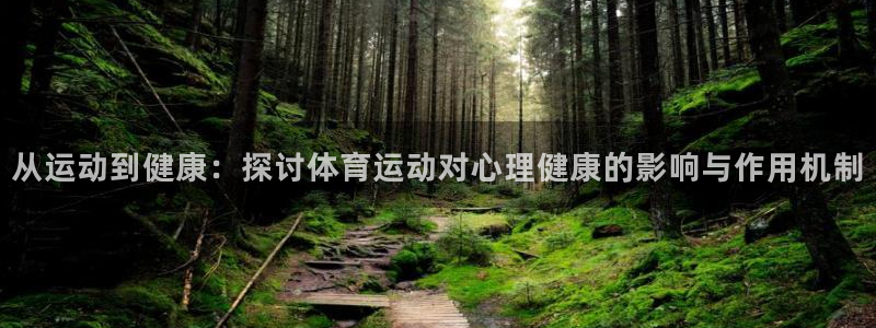 一竞技官网下载平台APP