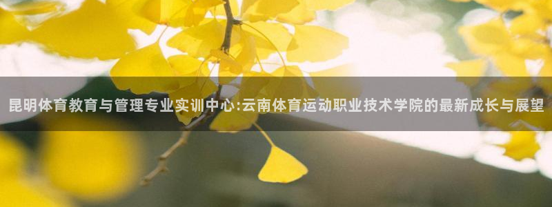 一竞技app官方入口：昆明体育教育与