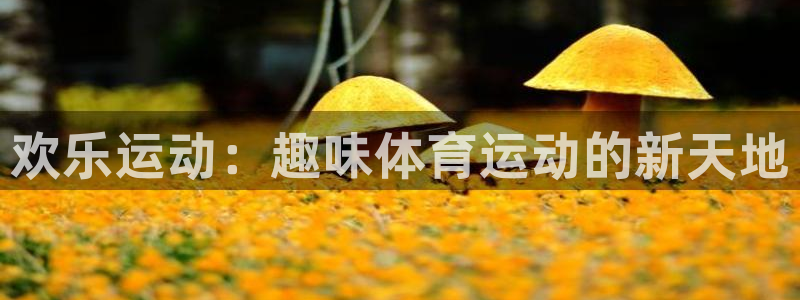 一竞技平台提现不出：欢乐运动：趣味体