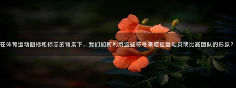 一竞技dota：在体育运动图标和标志