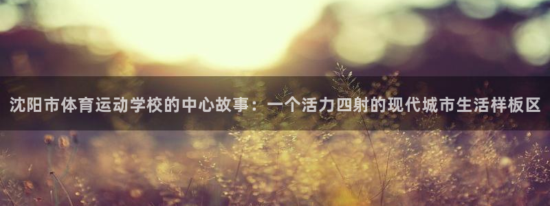 一竞技官方网站入口：沈阳市体育运动学