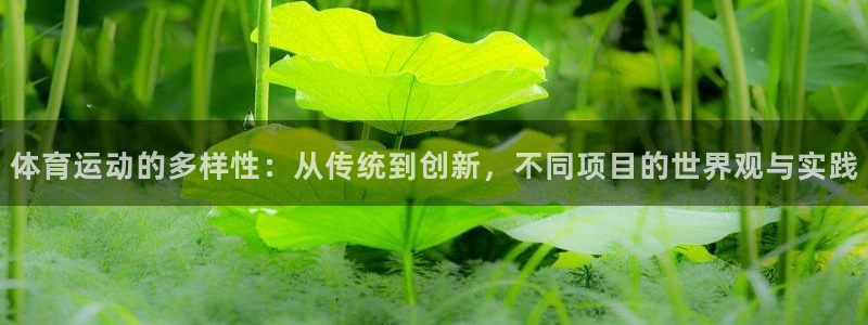 一竞技客服说账号异常：体育运动的多样