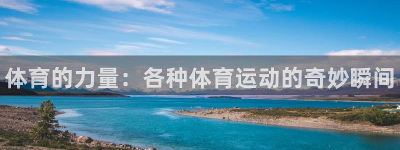 一竞技游戏登录入口：体育的力量：各种