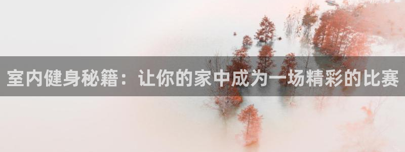 一竞技入口：室内健身秘籍：让你的家中