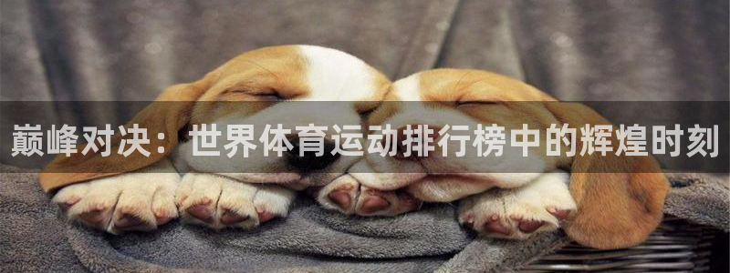 一竞技官网 - 从一开始 竞无止境：