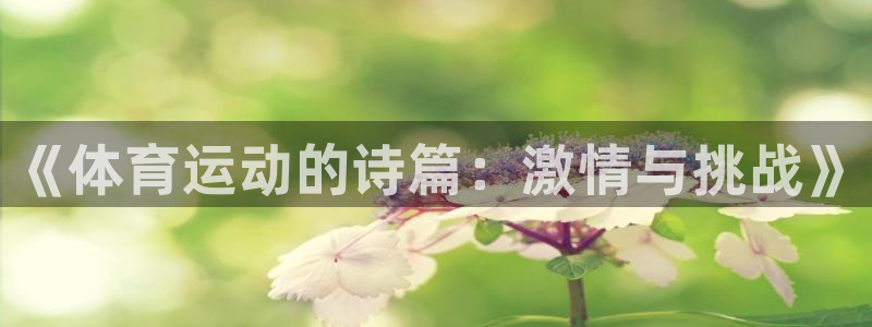 一竞技平台怎么样：《体育运动的诗篇：