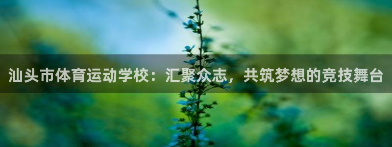 一竞技测速网站填什么：汕头市体育运动