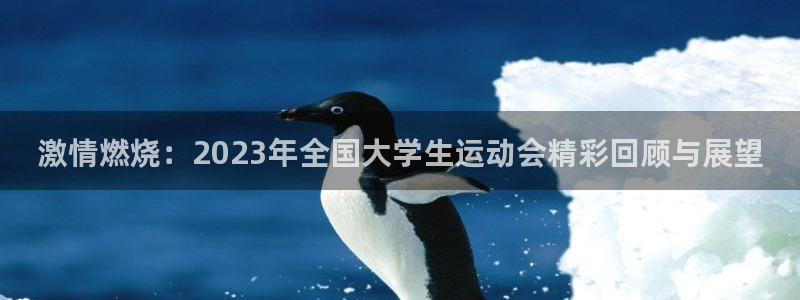 一竞技平台可以借钱吗：激情燃烧：20