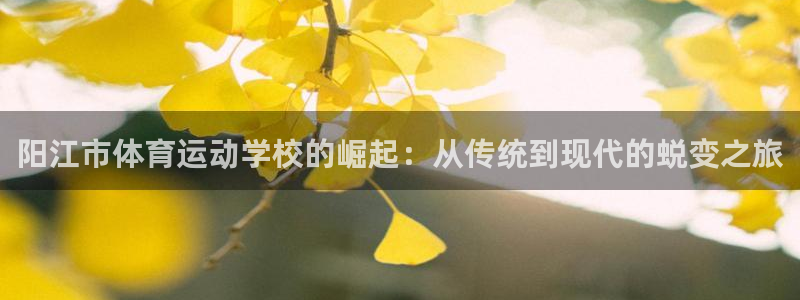一竞技平台可以借钱吗：阳江市体育运动