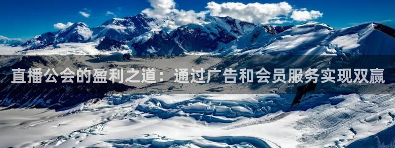 雨燕live直播nba：直播公会的盈利之道：通过广告和会员服务实现双赢
