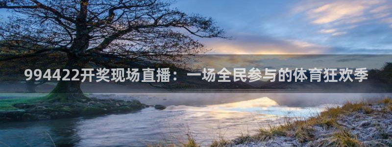 雨燕体育赛事在线直播下载：994422开奖现场直播：一场全民参与的体育狂欢季