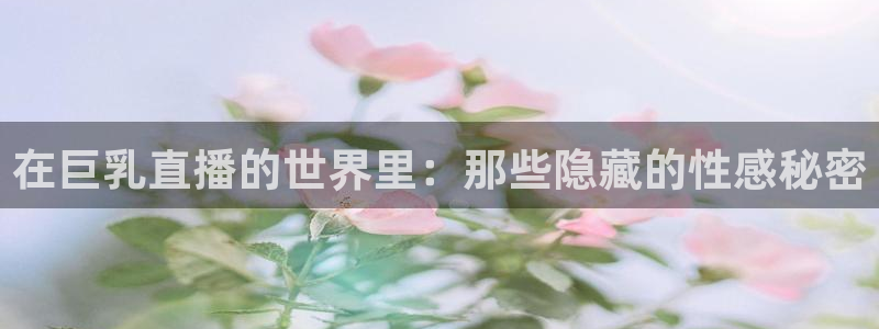 雨燕足球直播平台