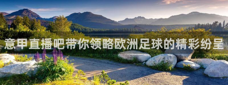 nba直播免费高清雨燕直播：意甲直播吧带你领略欧洲足球的精彩纷呈