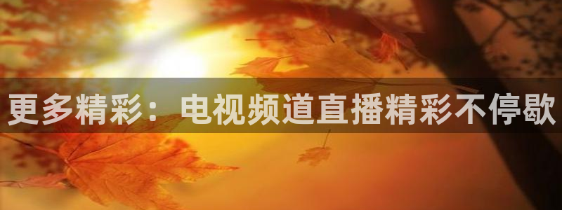 雨燕直播免费足球