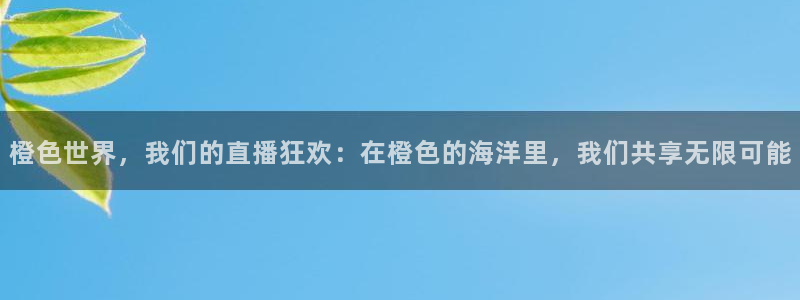 雨燕直播足球在线：橙色世界，我们的直播狂欢：在橙色的海洋里，我们共享无限可能