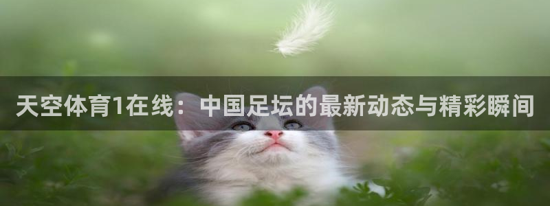 360雨燕直播篮球：天空体育1在线：中国足坛的最新动态与精彩瞬间