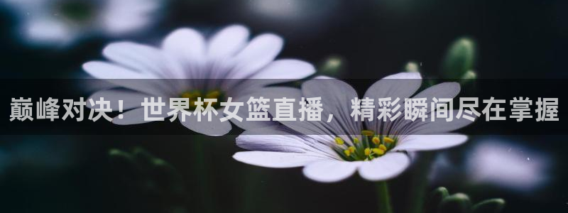 雨燕足球赛事直播：巅峰对决！世界杯女篮直播，精彩瞬间尽在掌握